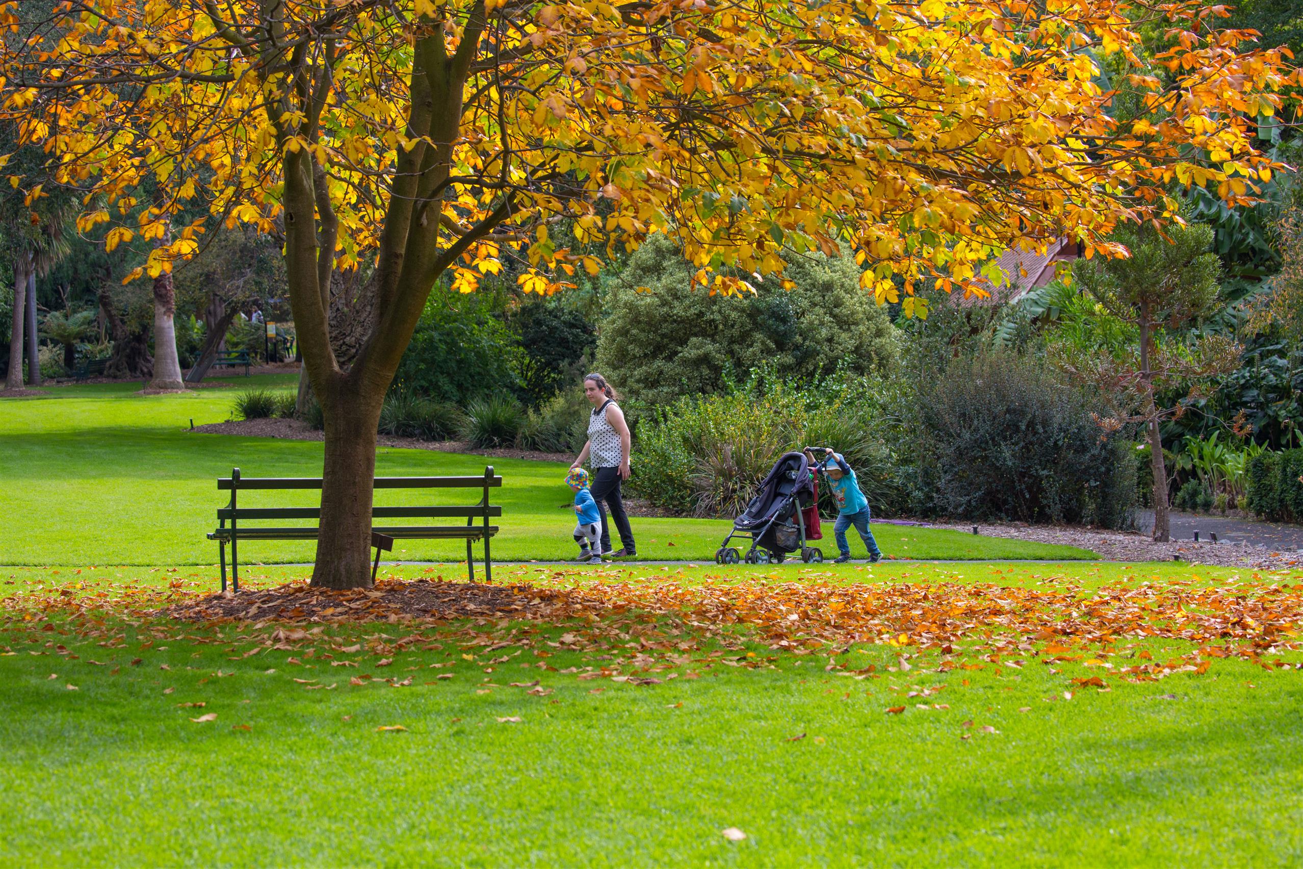 Geelong Botanical Gardens