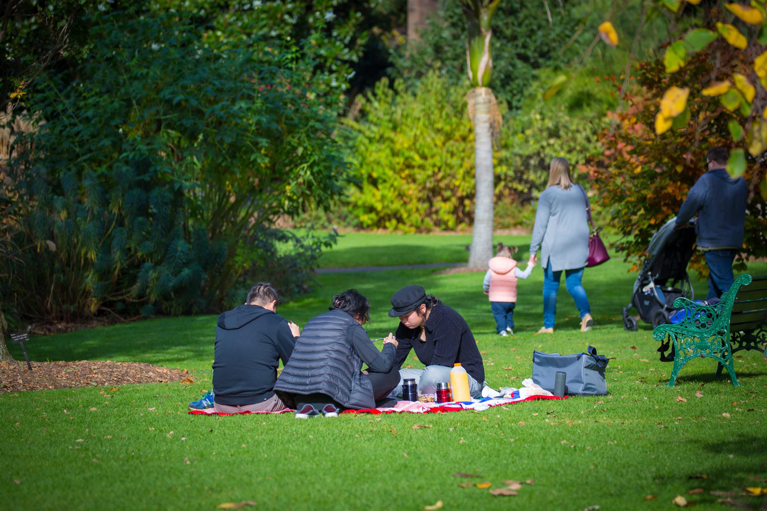 Picnic at the Geelong Botanic Gardens