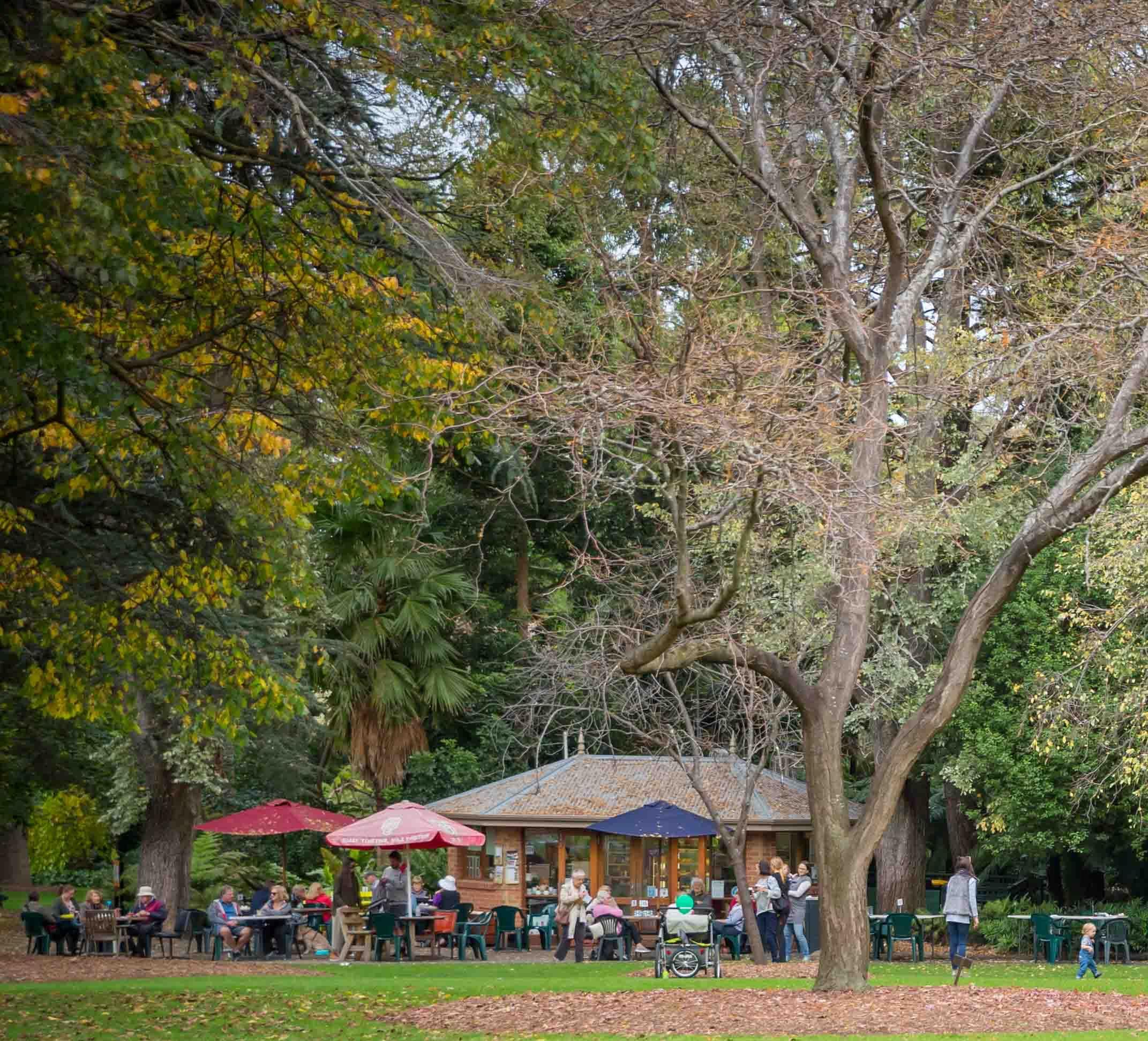 Teahouse at Geelong Botanic Gardens
