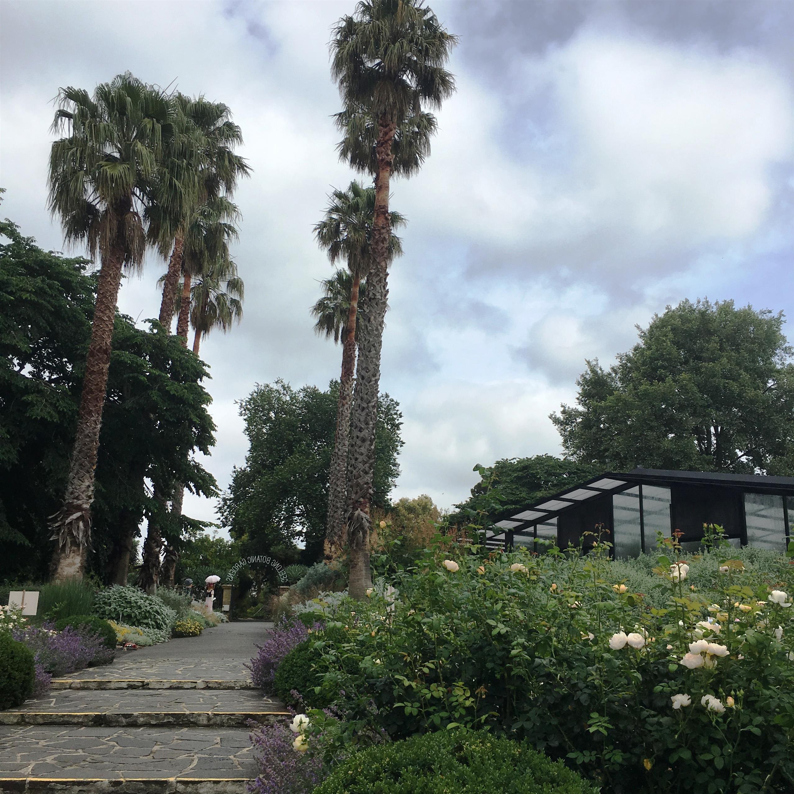 Conservatory view of building 