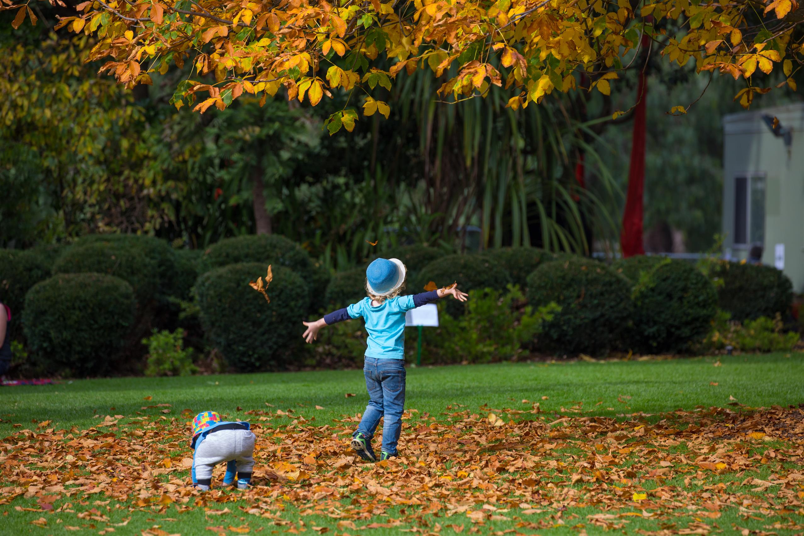 Botanic Gardens - Children enjoying Autumn Leaves