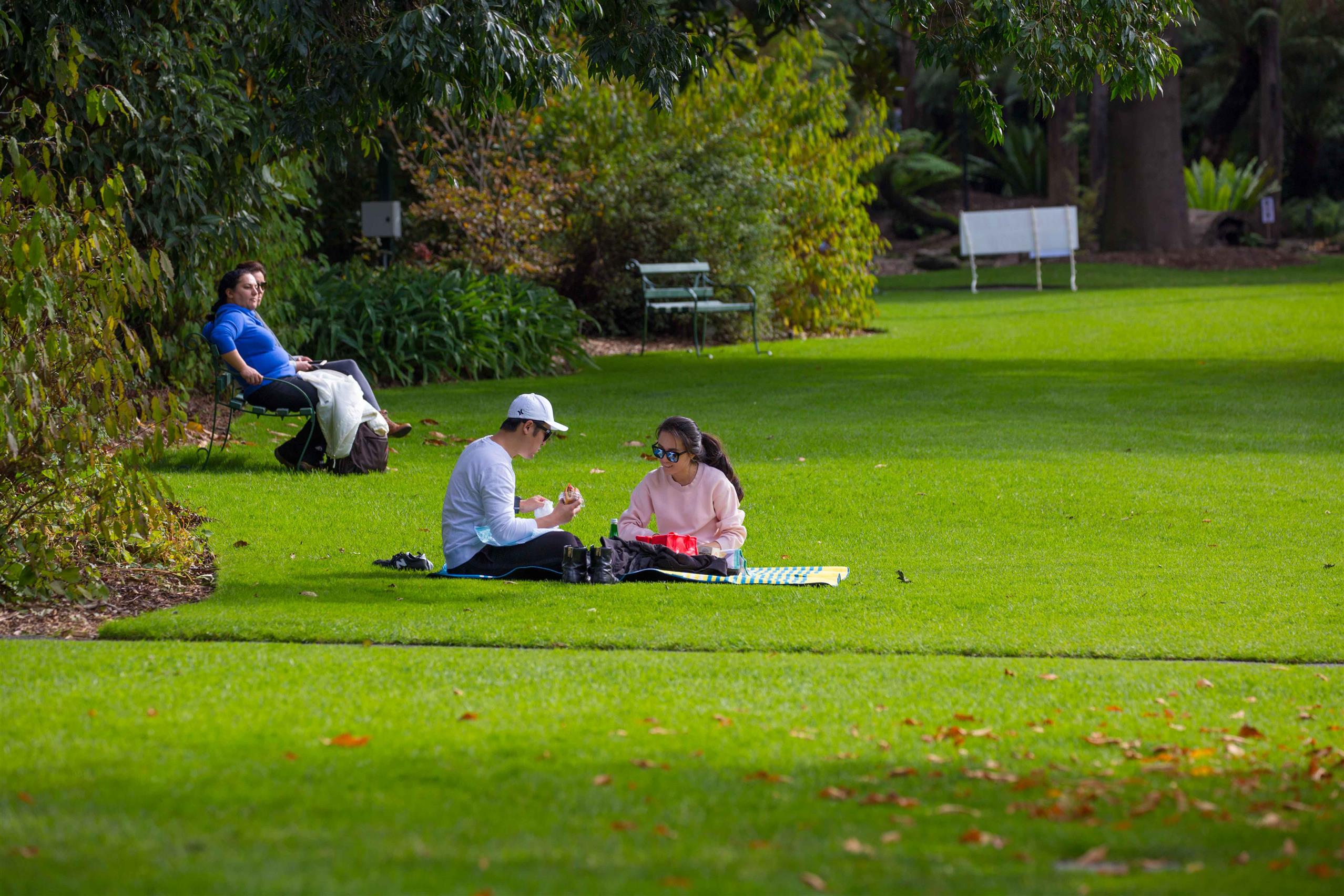Picnic at the Botanic Gardens
