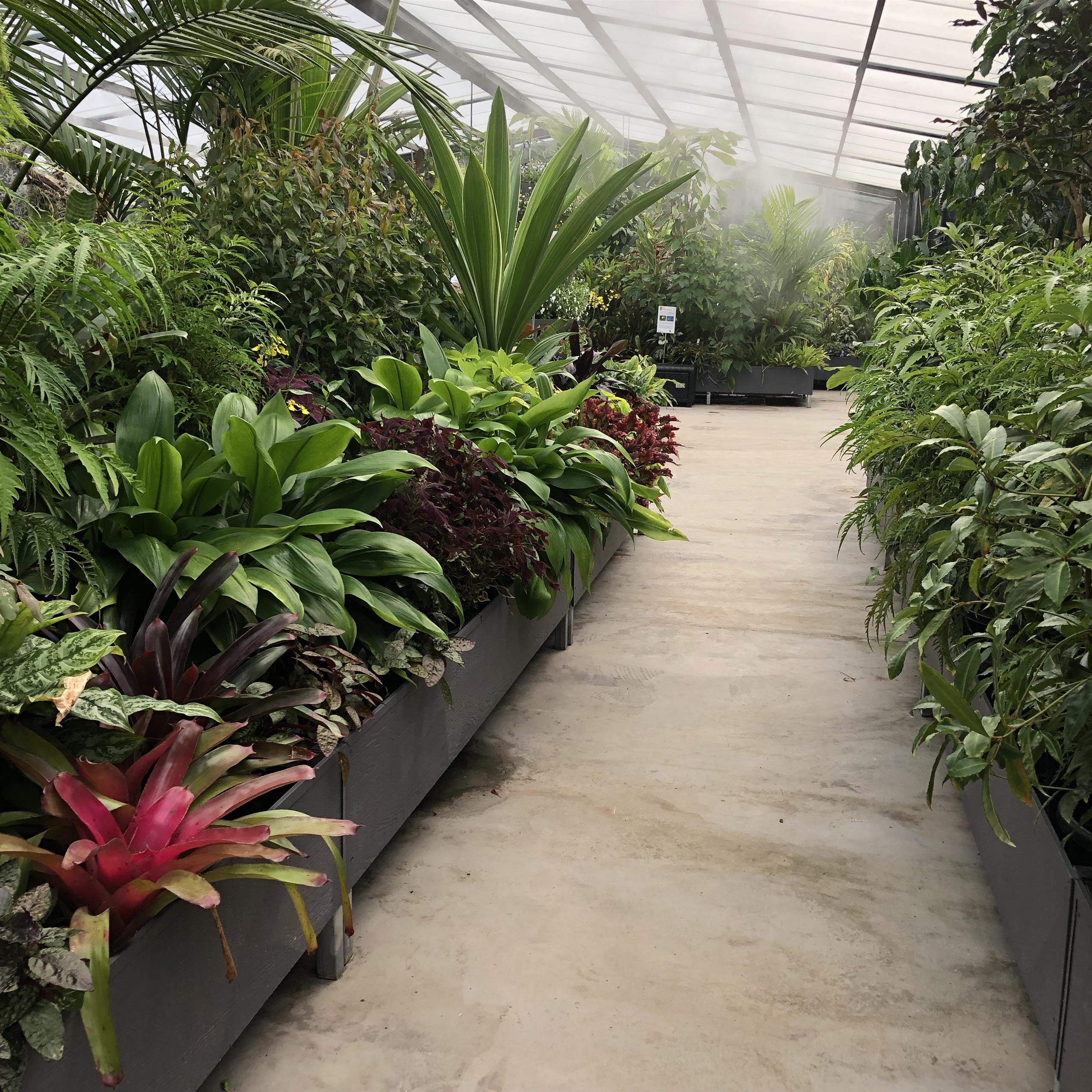 Conservatory inside view 