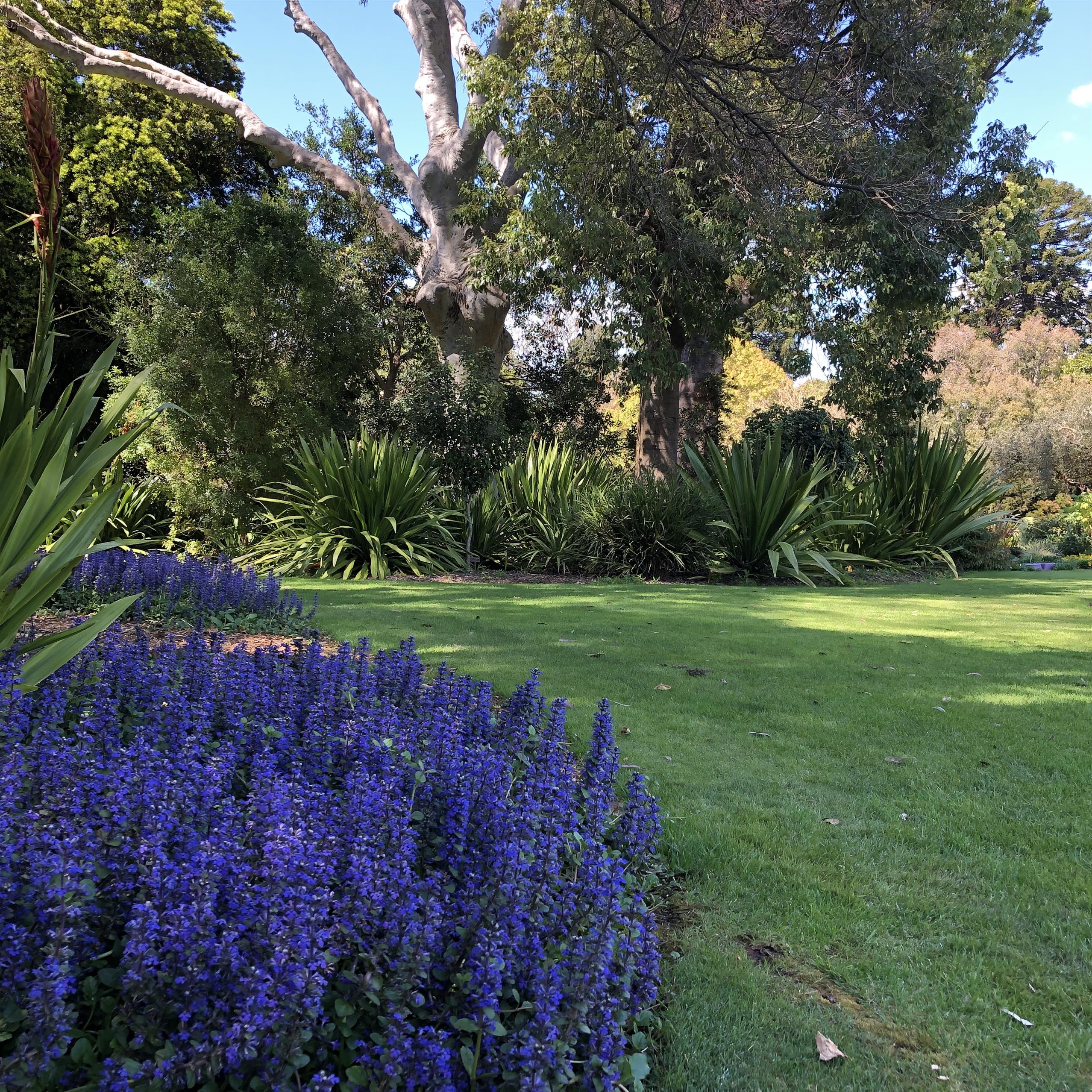 Rose Lawn