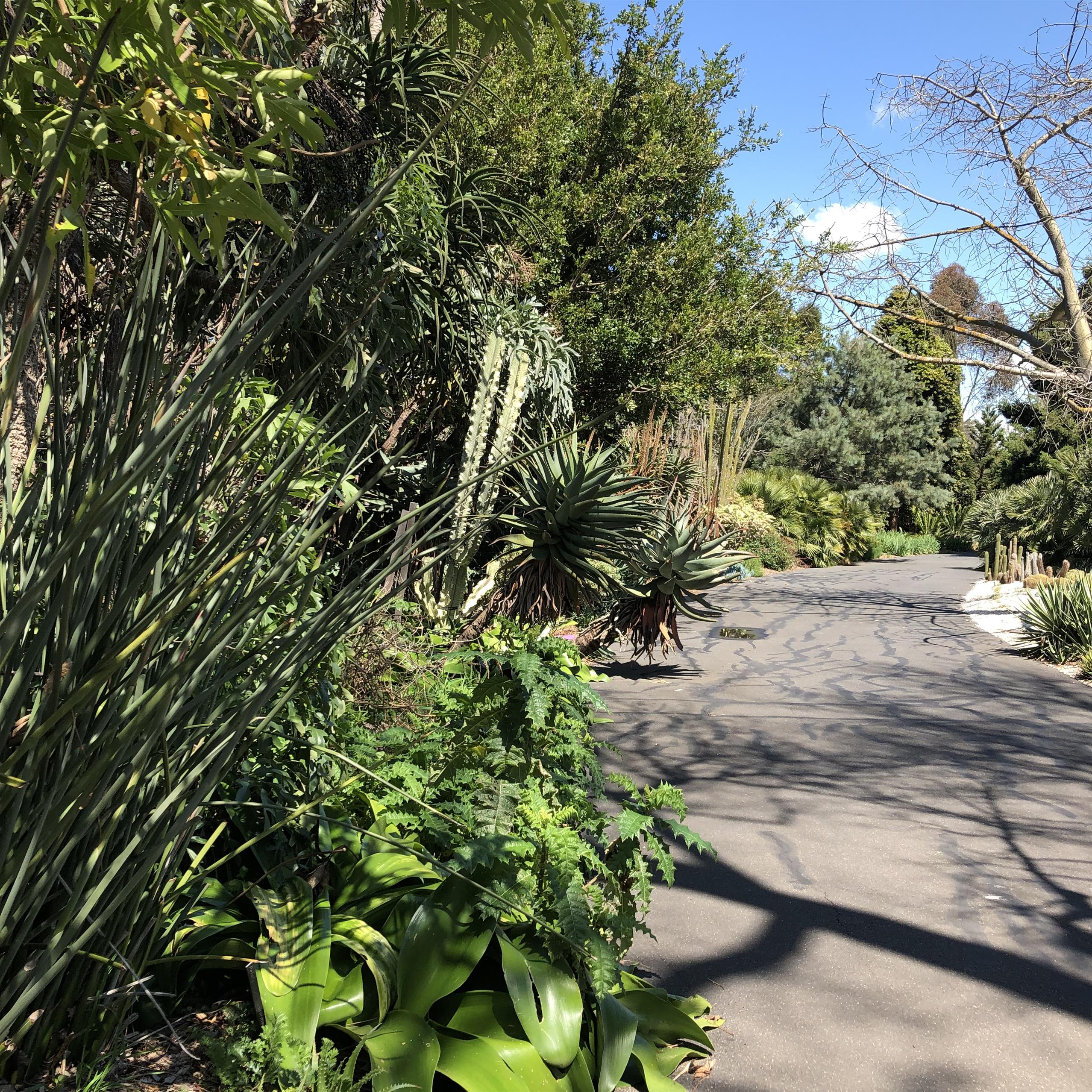 21st Century Garden