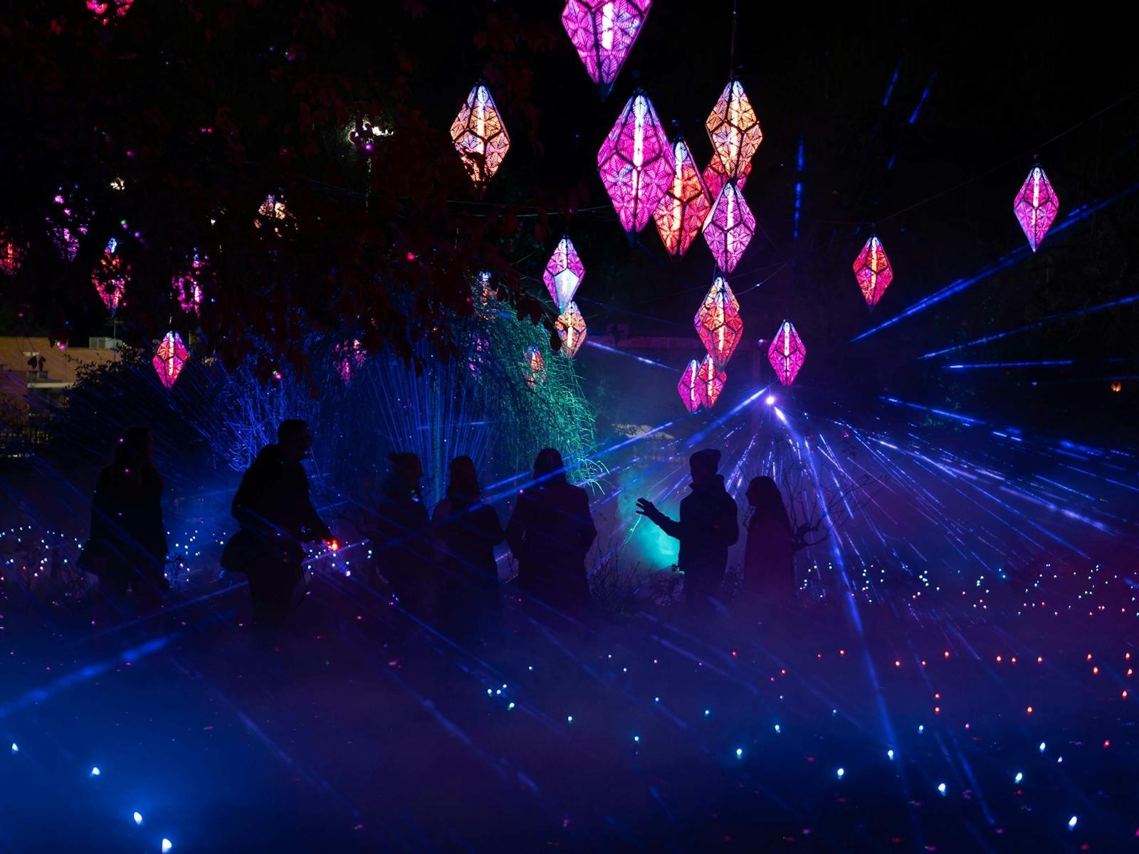 Bloom Photos