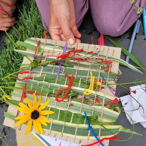 Pop up Museum: Geelong Botanic Gardens 
