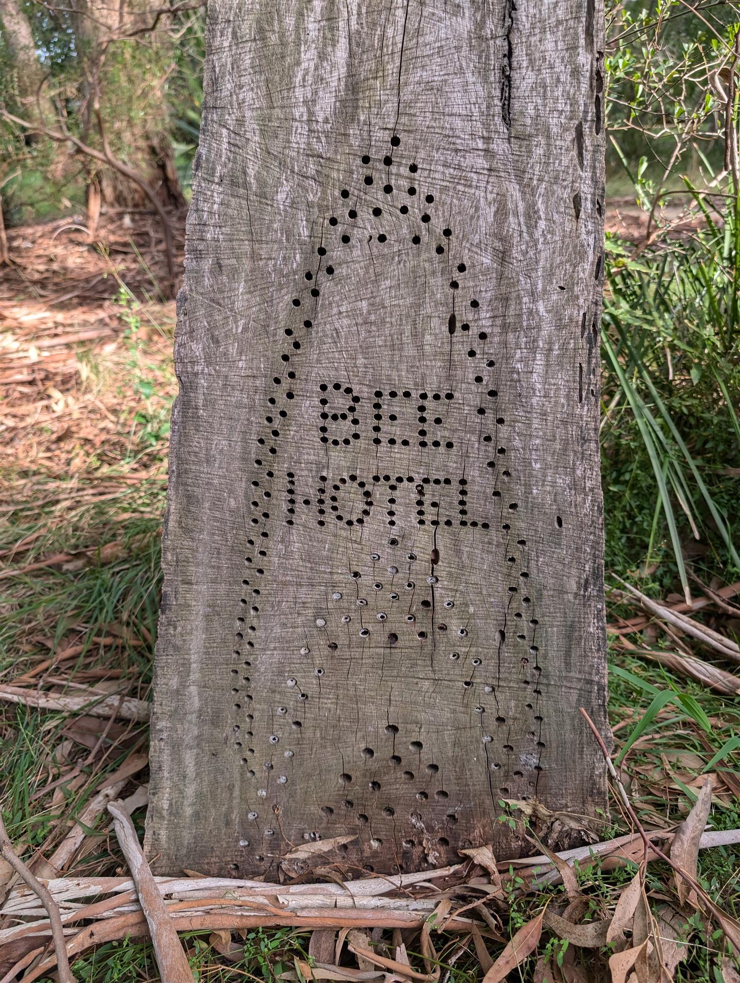 Designing With Nature 