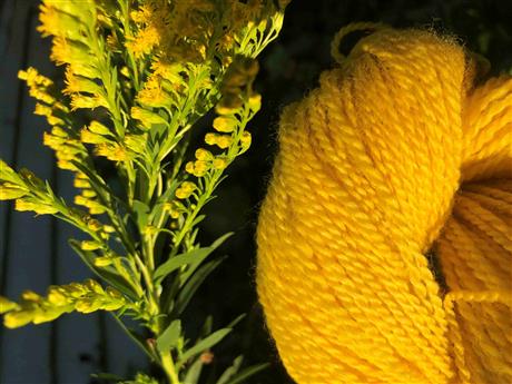 Natural Dyeing with Heather Thomas (Winter 2026)