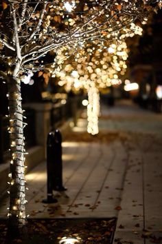 Street Decorations