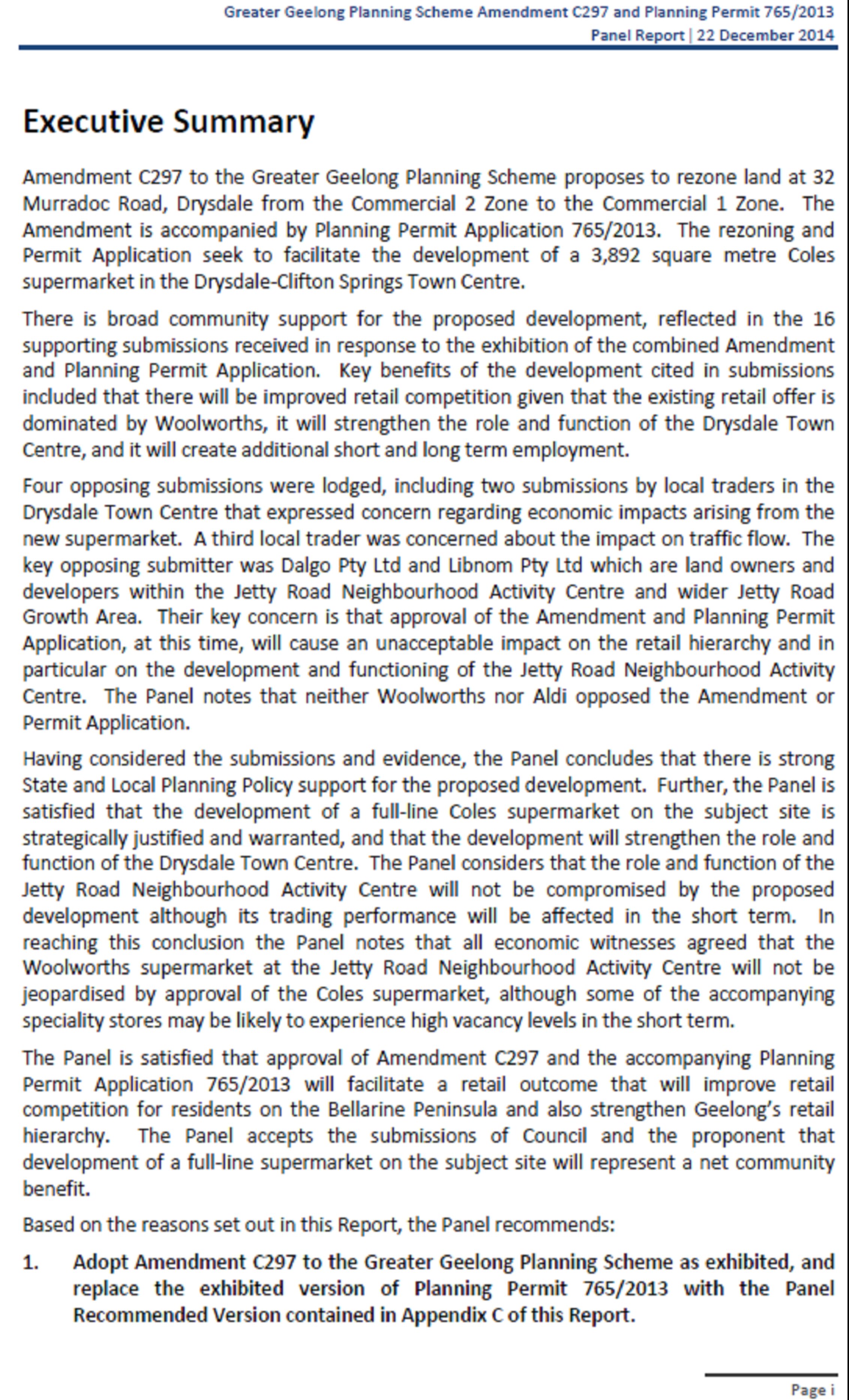 Panel Report Executive Summary