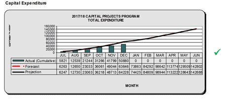 Capital expenditure