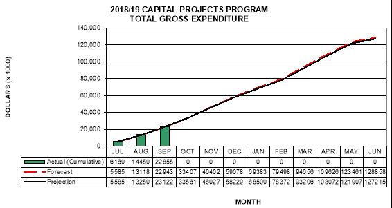Line graph showing 2018-2019 capital projects program total gross expenditure