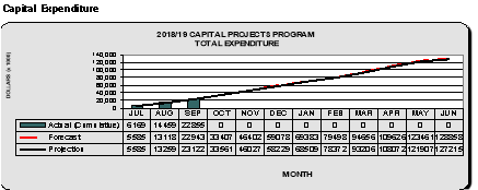 Capital expenditure