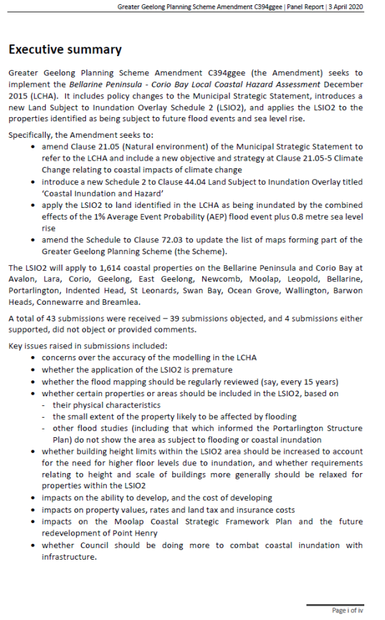 Executive Summary - page 1 of 4
