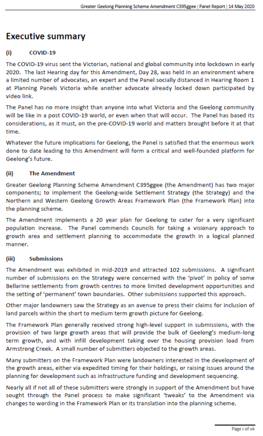Panel Report Executive Summary - Page 1 of 7