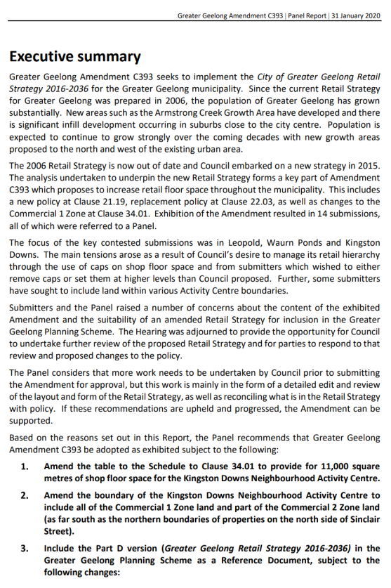 Executive Summary - Panel Report - 31 January 2020 - page 1